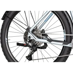 Axess Force Pro Allroad - 29" E-MTB - 2025 - misty silver matt/black/sky